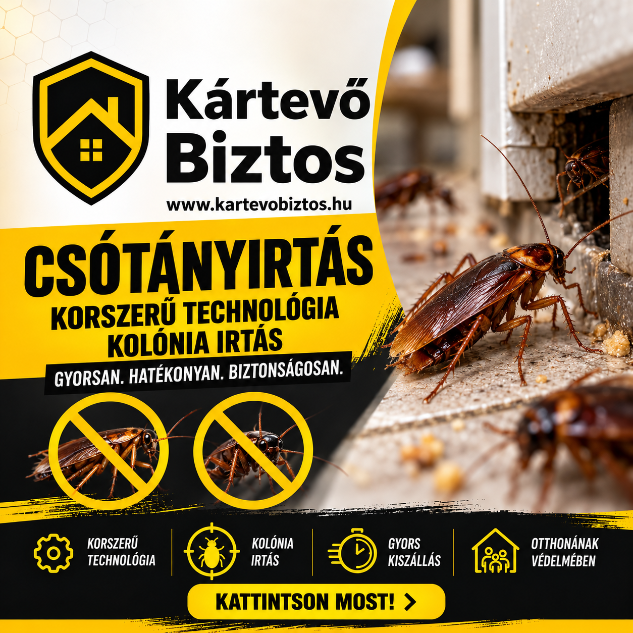Csótányirtás