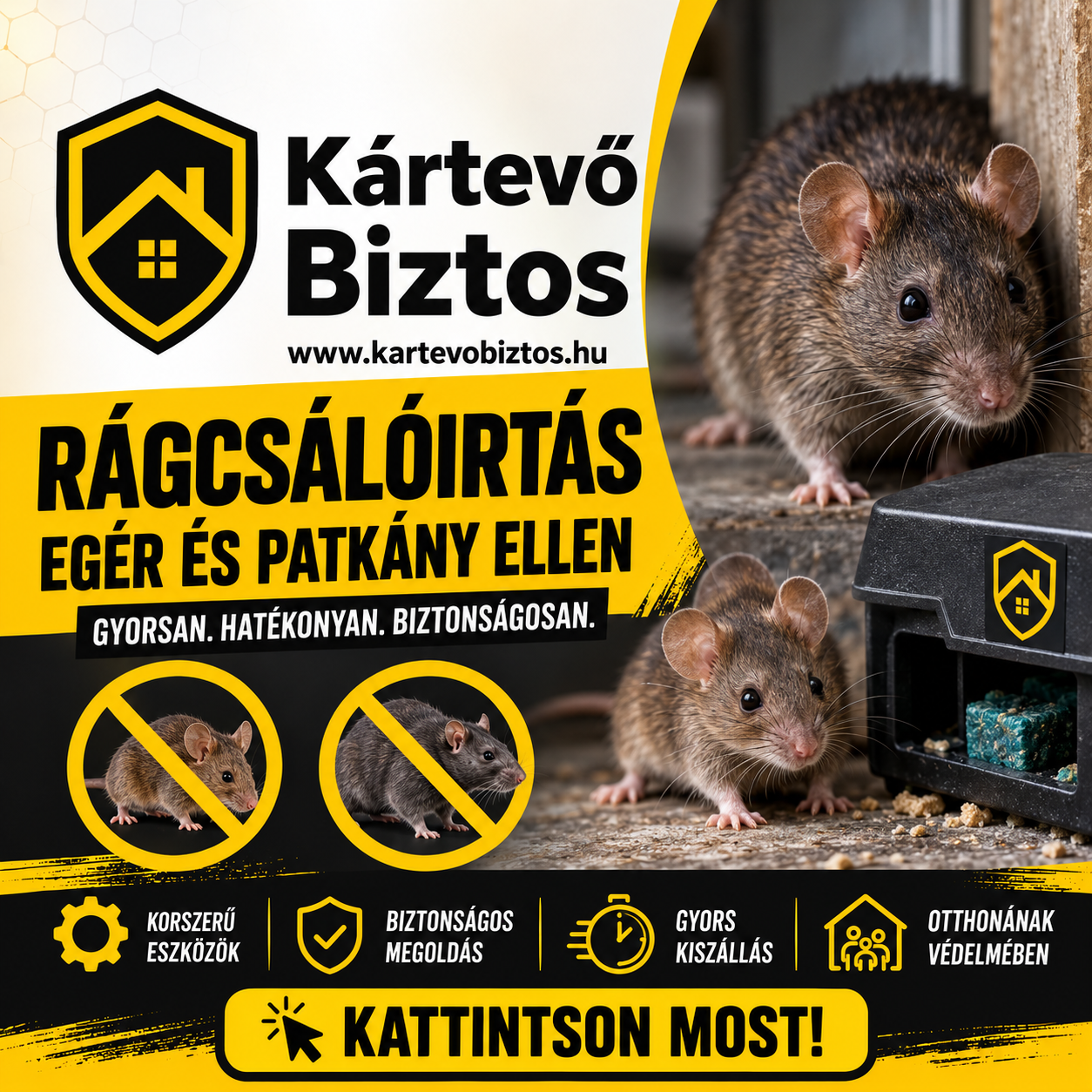 Rágcsálóirtás